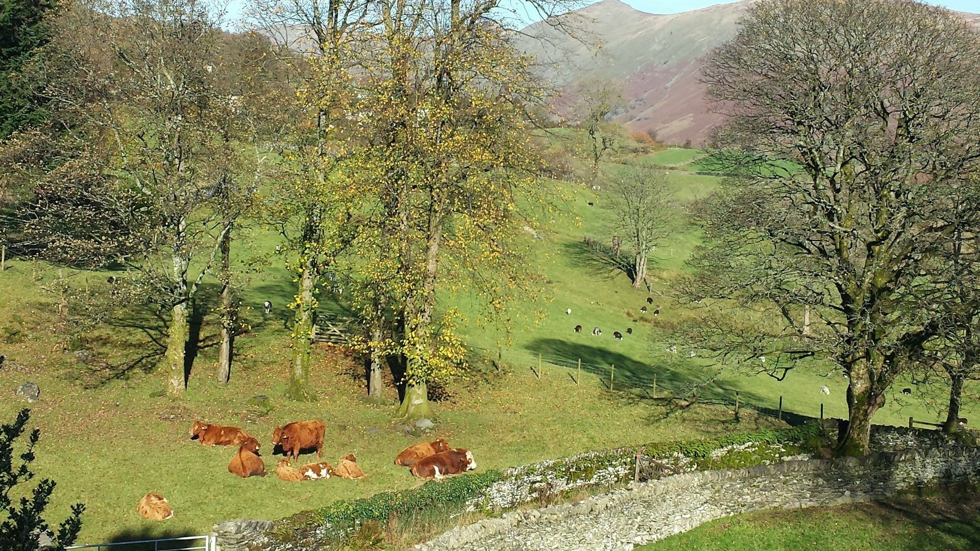 High Fold Guest House Troutbeck  Exterior photo